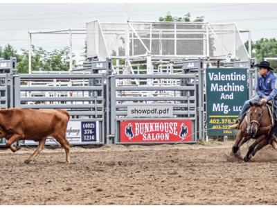 Rod Hartness wrangling a steer on horseback