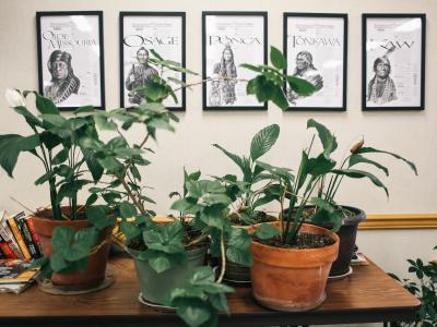 image of tribal government offices