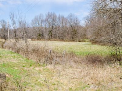 image of undeveloped field where tiny house were built